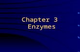 Chapter 3 Enzymes 98-I-6 Other example: washing powder with protease to digest & remove protein dirts.
