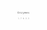 Enzymes 1.7 & 3.3. Enzymes biological catalysts speed up chemical reactions without being consumed usually proteins with tertiary or quaternary structure.