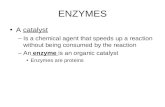 ENZYMES A catalyst –Is a chemical agent that speeds up a reaction without being consumed by the reaction –An enzyme is an organic catalyst Enzymes are.