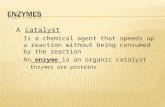A catalyst  Is a chemical agent that speeds up a reaction without being consumed by the reaction  An enzyme is an organic catalyst  Enzymes are proteins.