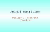 Animal nutrition Biology 2: Form and Function. Types of nutritional system Heterotrophs must obtain energy sources externally –Fungi digest via external.
