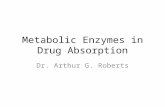 Metabolic Enzymes in Drug Absorption Dr. Arthur G. Roberts.
