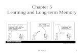 Chapter 5 Learning and Long-term Memory GP Mem(1)1.