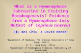 What is a Hymenophore Subroutine in Fruiting Morphogenesis? Evidence from a Hymenophore-less Mutant of Coprinus cinereus Siu Wai Chiu 1 & David Moore 2.