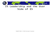 Lecture 11 MGMT 6180 - © 2012 Houman Younessi IS Leadership and the User Side of IS.