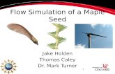 Flow Simulation of a Maple Seed Jake Holden Thomas Caley Dr. Mark Turner 1.