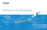 NetNumen U31 Introduction V12.11.20. Contents U31 System Overview U31 System Architecture Networking Modes.