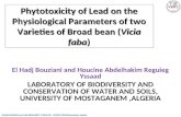 Phytotoxicity of Lead on the Physiological Parameters of two Varieties of Broad bean (Vicia faba) El Hadj Bouziani and Houcine Abdelhakim Reguieg Yssaad.