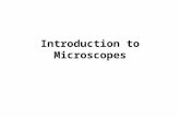 Introduction to Microscopes. On Your Lab Handout… Read the section titled “History and Importance of Microscopes”. Answer the questions that follow.