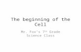 The beginning of the Cell Mr. Fox’s 7 th Grade Science Class.