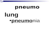 Pneumo lung pneumonia. ob against obsolete obstinate.