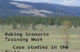 Making Scenario Training Work Case studies in the field.