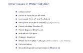 Other Issues in Water Pollution Urbanization General Population Growth Increased Run-off and Pollution Non-point Pollution Sources (eg Agriculture) Pesticide.