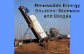 Renewable Energy Sources: Biomass and Biogas What is BIOMASS? Organic matter produced by photosynthetic producers Total dry weight of all living organisms.