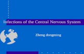 Infections of the Central Nervous System Zheng dongming.