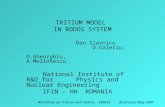 Workshop on Tritium and Carbon - EMRASBucharest May 2007 TRITIUM MODEL IN RODOS SYSTEM Dan Slavnicu D.Galeriu, D.Gheorghiu, A.Melintescu National Institute.