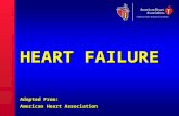 HEART FAILURE Adapted From: American Heart Association HEART FAILURE Adapted From: American Heart Association.