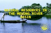 NATURAL RESOURCES IN THE MEKONG RIVER BASIN. Integrated Resource and Environmental Management2 Course Learning Objectives At the end of this course you.