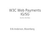 W3C Web Payments IG/SG Security, Next Steps Erik Anderson, Bloomberg.