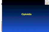 Opioids.  Opioid is a term that applies to all natural, synthetic, and semi synthetic agents with morphine-like actions. It is more inclusive than the.