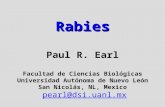 Rabies Rabies Paul R. Earl Facultad de Ciencias Biológicas Universidad Autónoma de Nuevo León San Nicolás, NL, Mexico pearl@dsi.uanl.mx pearl@dsi.uanl.mx.