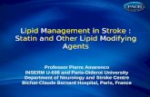 Lipid Management in Stroke : Statin and Other Lipid Modifying Agents Professor Pierre Amarenco INSERM U-698 and Paris-Diderot University Department of.