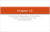 The Earliest Dispersal of the Genus Homo: Homo Erectus and Contemporaries Chapter 12.