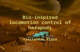 Bio-inspired locomotion control of hexapods Alessandro Rizzo.