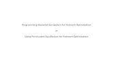 Programming Bacterial Computers for Network Optimization or Using Punctuated Equilibrium for Network Optimization.