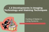 Cycling of Matter in Living Systems 1.3 Developments in Imaging Technology and Staining Techniques.