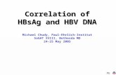 Correlation of HBsAg and HBV DNA Michael Chudy, Paul-Ehrlich-Institut SoGAT XVIII, Bethesda MD 24-25 May 2005 PEI.