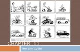 CHAPTER 11 The Life Cycle. Changes During Puberty  You will go through many physical, mental/emotional, and social changes during your teen years.