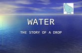 WATER THE STORY OF A DROP. HOW IMPORTANT IS WATER? Water is essential for life, and it is present everywhere: -W-W-W-Water covers 70% of our planet.