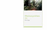 Photosynthesis Biology. 1.Explain why photosynthesis is so important to energy and material flow for life on earth. 2.Know why plants tend to be green.