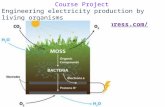 Course Project Engineering electricity production by living organisms
