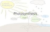 Photosynthesis Chapter 6. Vocabulary—Breaking Down The Definitions Photosynthesis Light Reactions Thylakoids Grana Stroma Photosystem Primary electron.