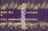 BCOR 011 Lecture 9: Cell membrane structure Sept 19, 2005 BCOR 011 Lecture 9: Cell membrane structure Sept 19, 2005.