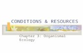 CONDITIONS & RESOURCES Chapter 3: Organismal Ecology.