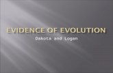 Dakota and Logan.  Fossils found in various layers of soil are a proof of evolution. As the environment has changed, fossils have changed and adapted.