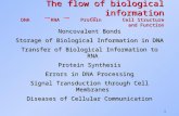 1 The flow of biological information DNA RNA Protein Cell Structure and Function Noncovalent Bonds Storage of Biological Information in DNA Transfer of.