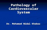 Pathology of Cardiovascular System Dr. Mohamad Nidal Khabaz.