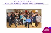 The Brighton and Hove Black and Minority Ethnic Needs Assessment.