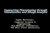 Supporting Phenotyping through Visualization and Image Analysis Raghu Machiraju, Computer Science & Engineering, Bio-Medical Informatics The Ohio State.