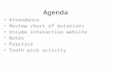 Agenda Attendance Review chart of mutations Enzyme interactive website Notes Practice Tooth pick activity.