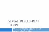 SEXUAL DEVELOPMENT THEORY An alternative approach to sexual dysfunction.