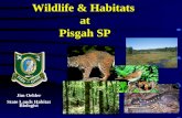 Jim Oehler State Lands Habitat Biologist Wildlife & Habitats at Pisgah SP.
