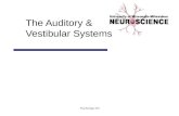 Psychology 355 The Auditory & Vestibular Systems.