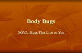 Body Bugs NOVA | Bugs That Live on You NOVA | Bugs That Live on You.