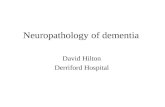 Neuropathology of dementia David Hilton Derriford Hospital.