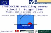 Coordinated by: CARBOOCEAN modelling summer school in Bergen 2006 Marine carbon sources and sinks assessment Integrated Project Contract No. 511176 (GOCE)
